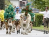 FEATURE Almabtrieb auf der BrixentalbundesstraÃe in Hopfgarten