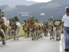 FEATURE Almabtrieb auf der BrixentalbundesstraÃe Kirchberg