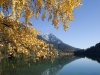 Herbststimmung Hintersteinersee Wilder Kaiser