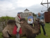 Herr Reindl und Kamel Ramses auf der Festung Kufstein