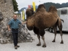 Herr Reindl und Kamel Ramses auf der Festung Kufstein